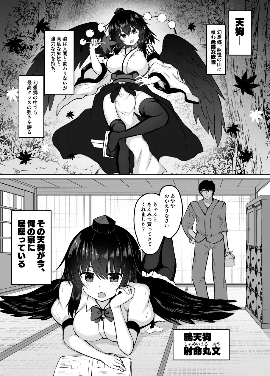 sub-image_0