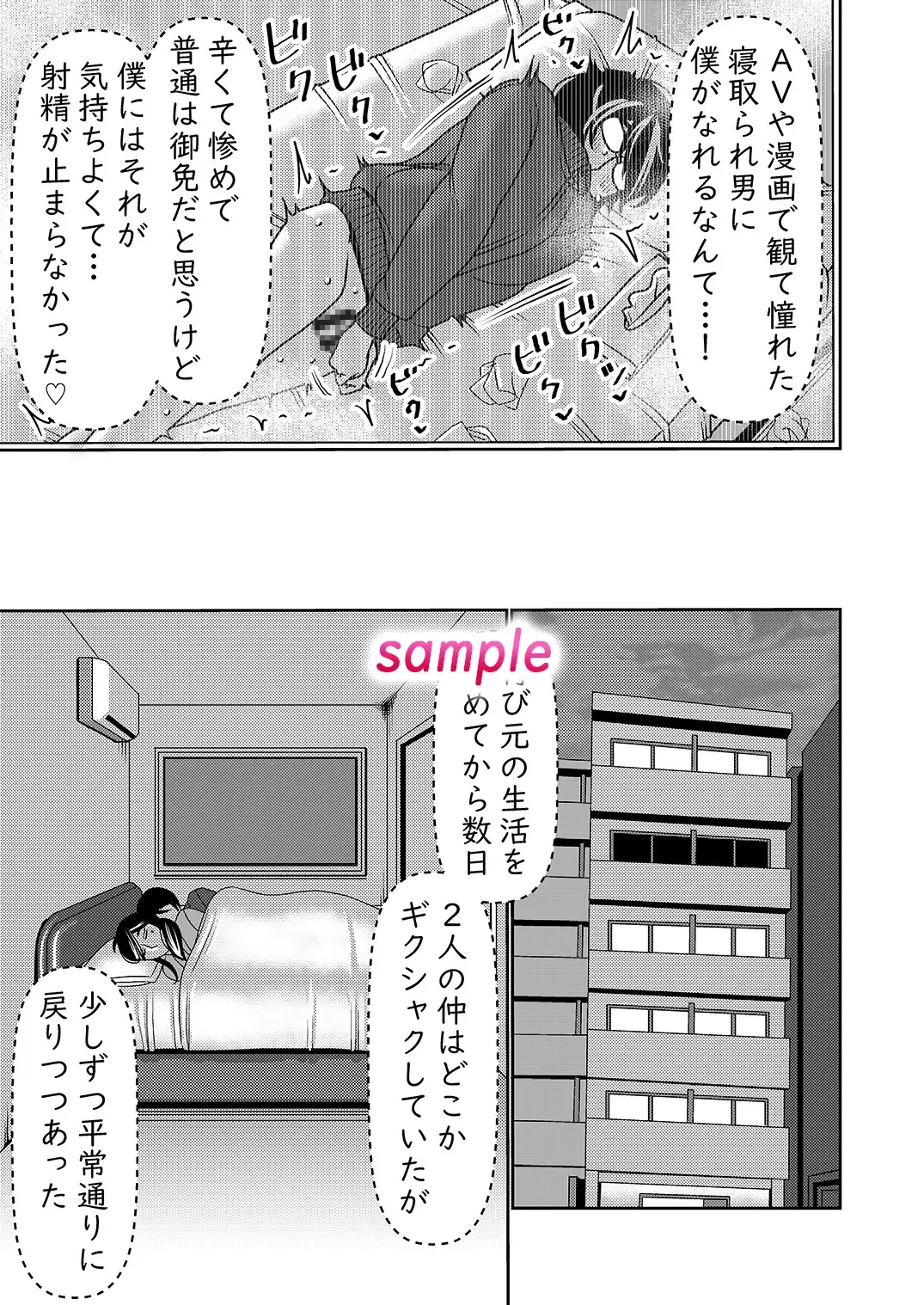 sub-image_4