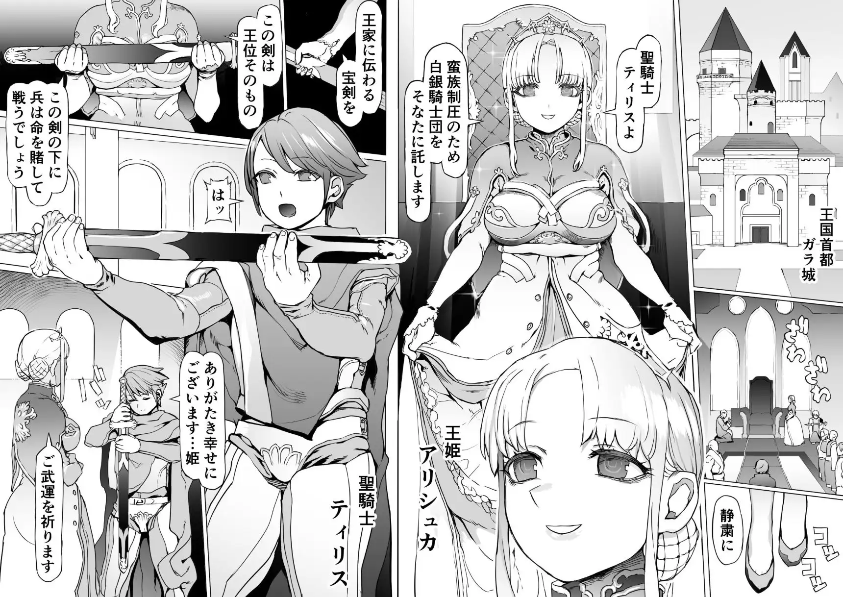 王となる者～王姫調教録