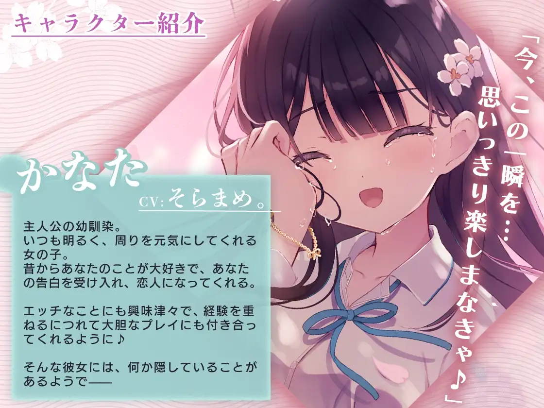 sub-image_4