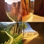 Desert Backgrounds No Copyright (300 images)