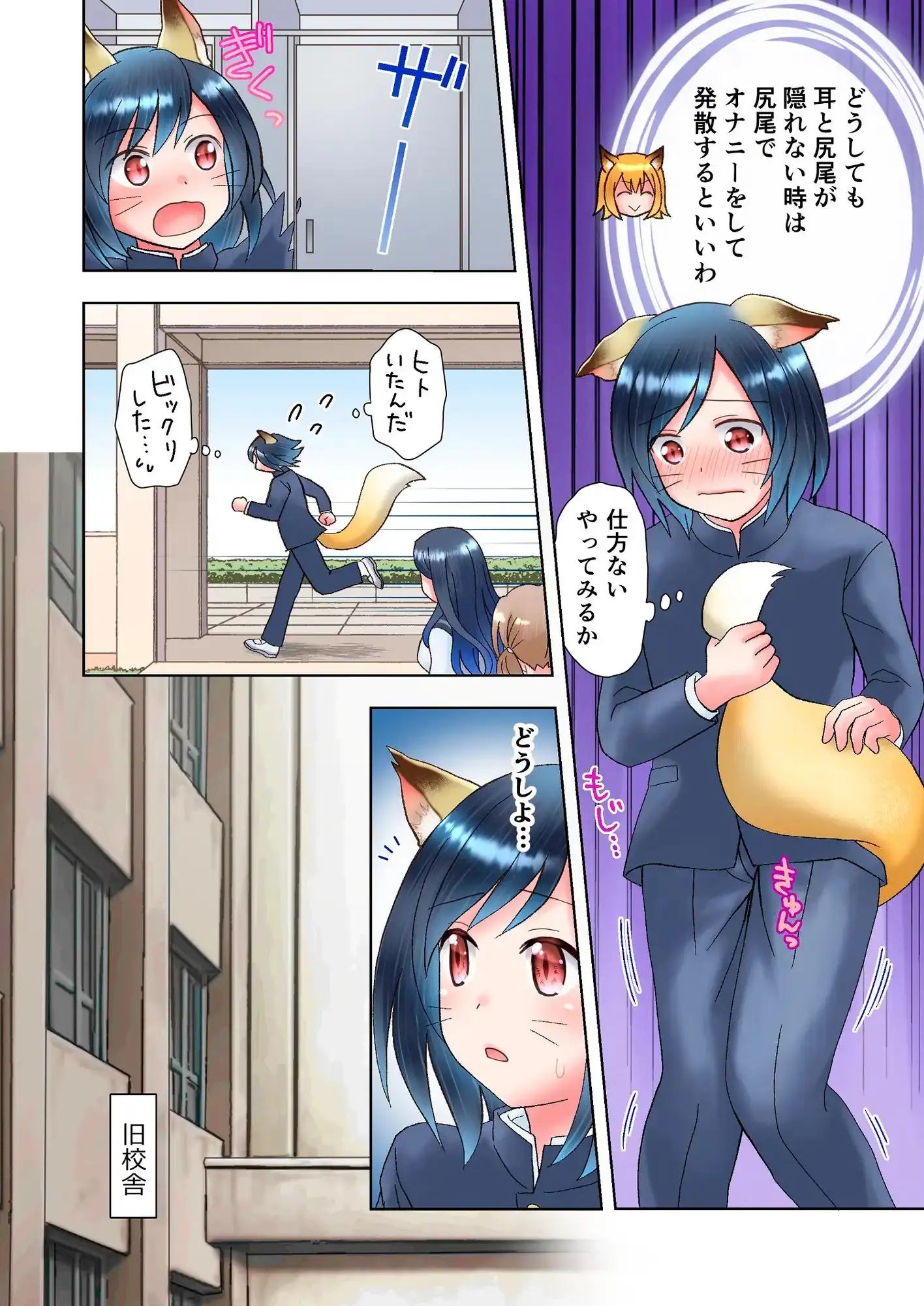 sub-image_6