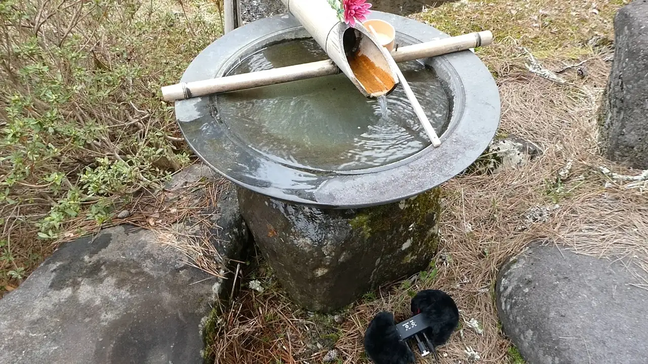 sub-image_4