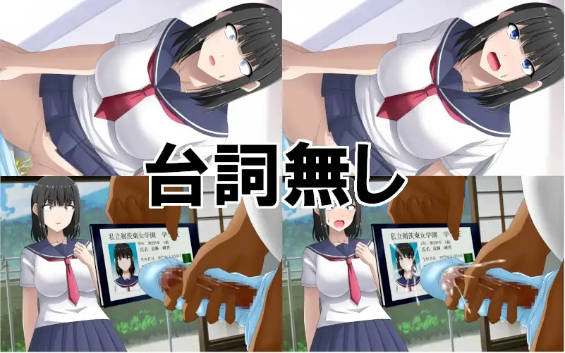 sub-image_1
