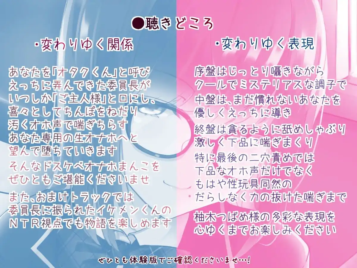 sub-image_3