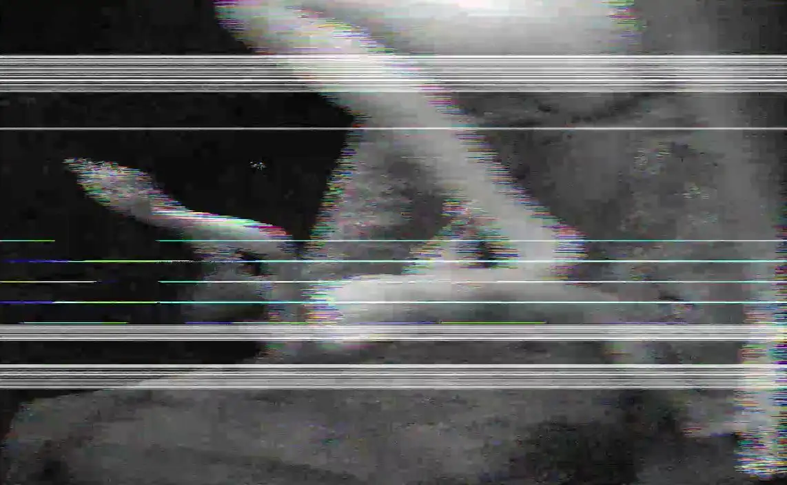 sub-image_8