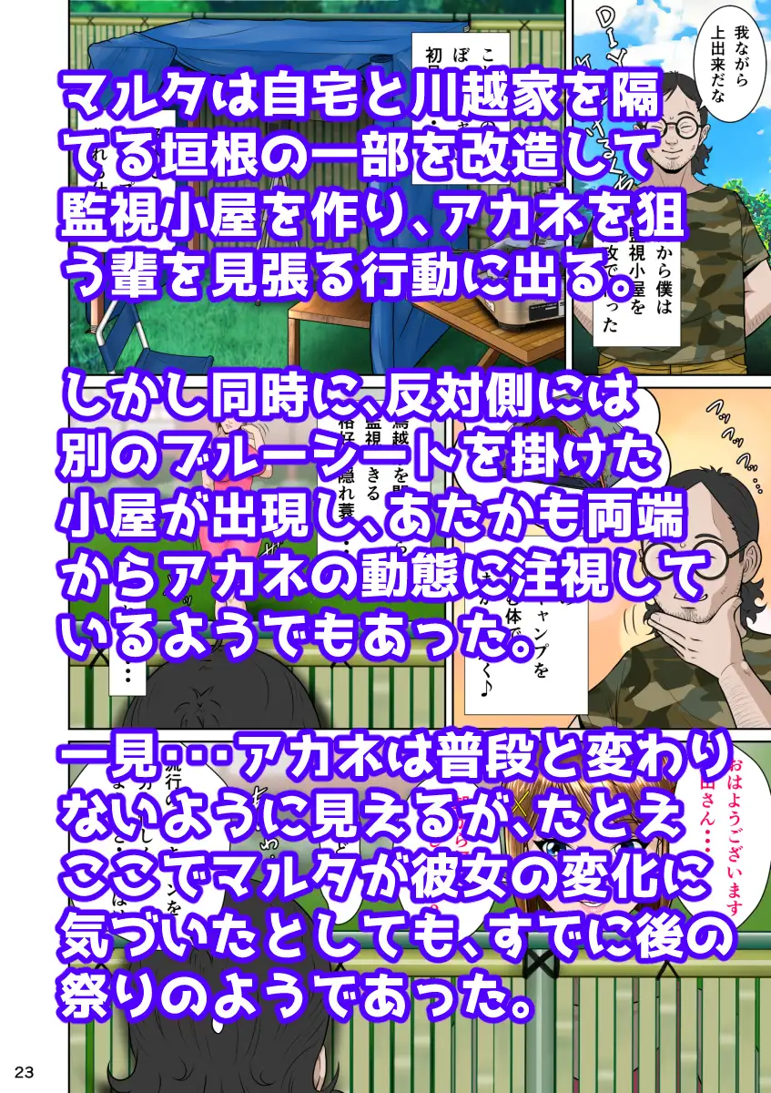 sub-image_3