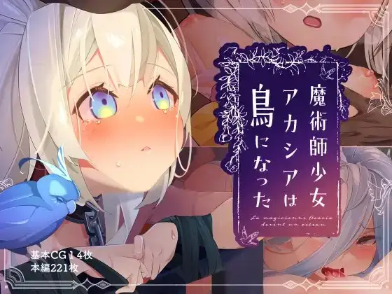 魔術師少女アカシアは鳥になった