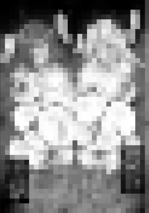 sub-image_2