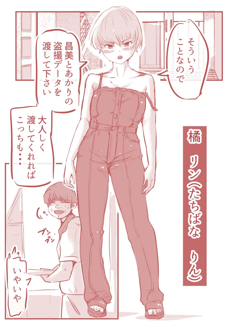 sub-image_4