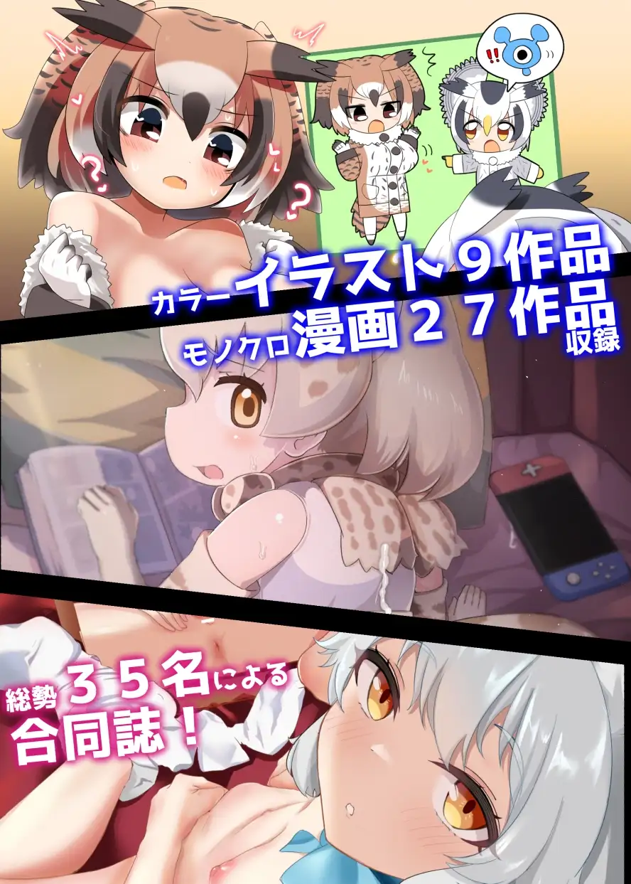 sub-image_4