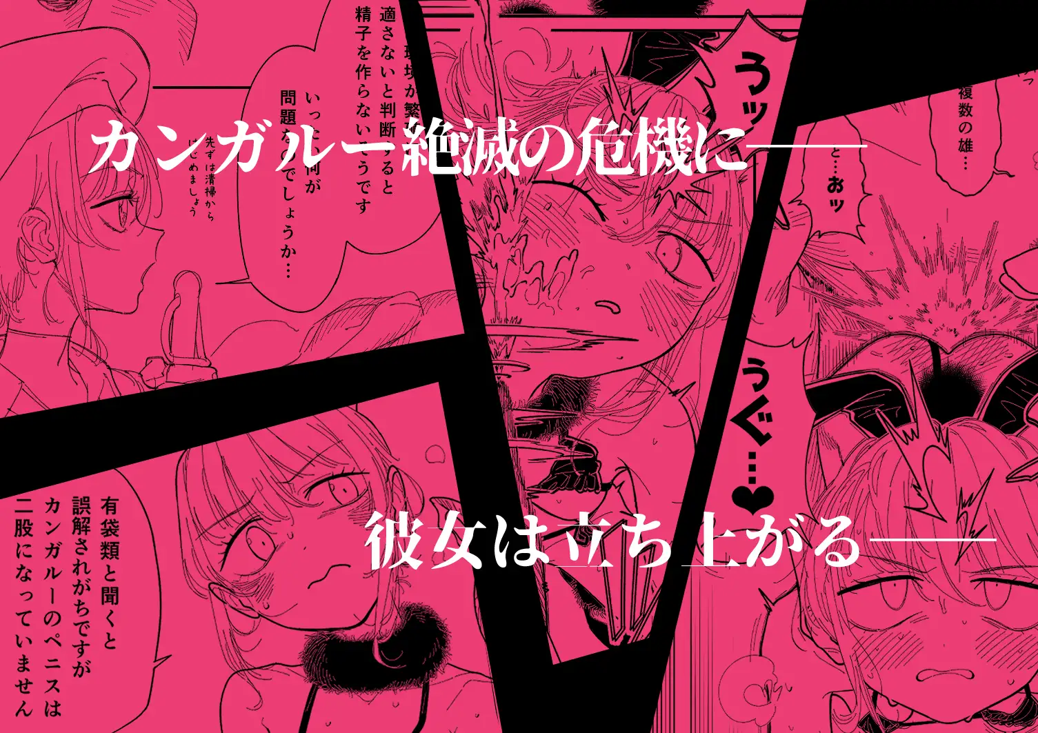 カンガルーのきもちいい zero戦 エロ漫画3