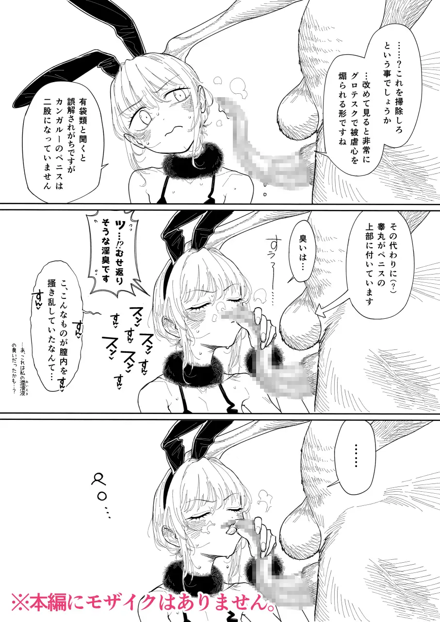 カンガルーのきもちいい zero戦 エロ漫画5