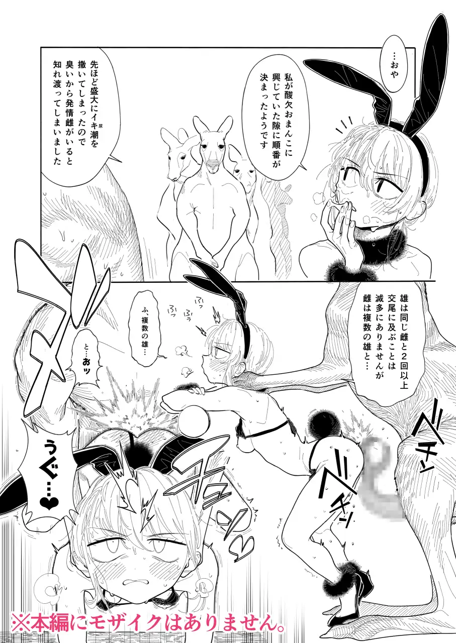 カンガルーのきもちいい zero戦 エロ漫画6