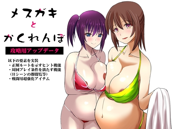 メ○ガキとかくれんぼ 攻略用アップデータ