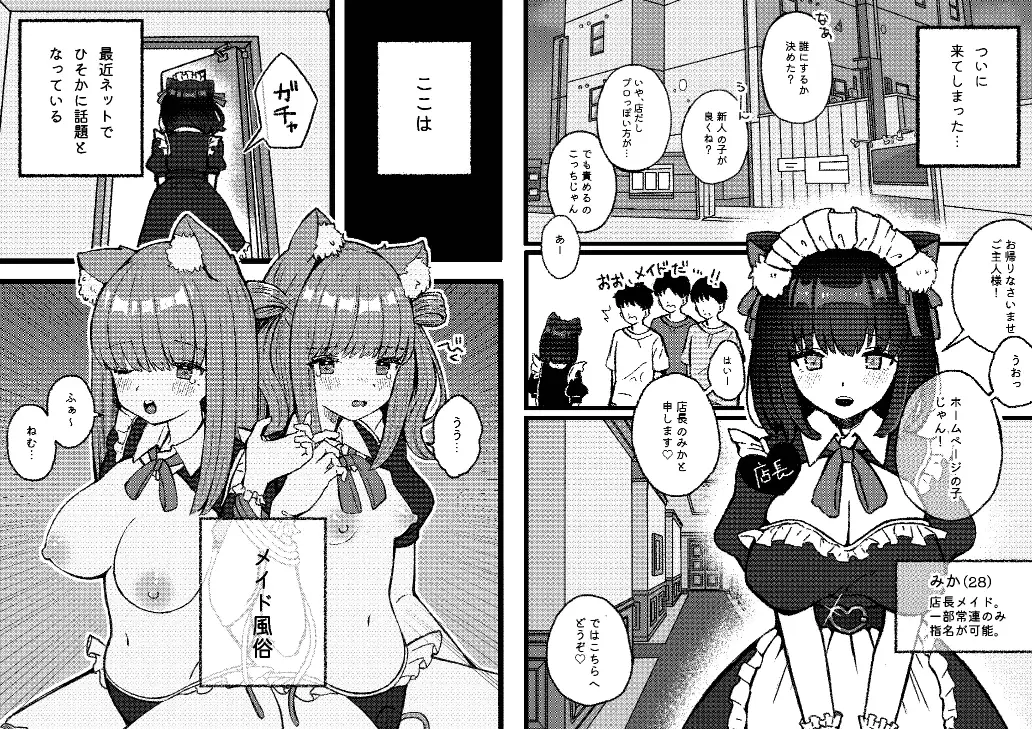 sub-image_1