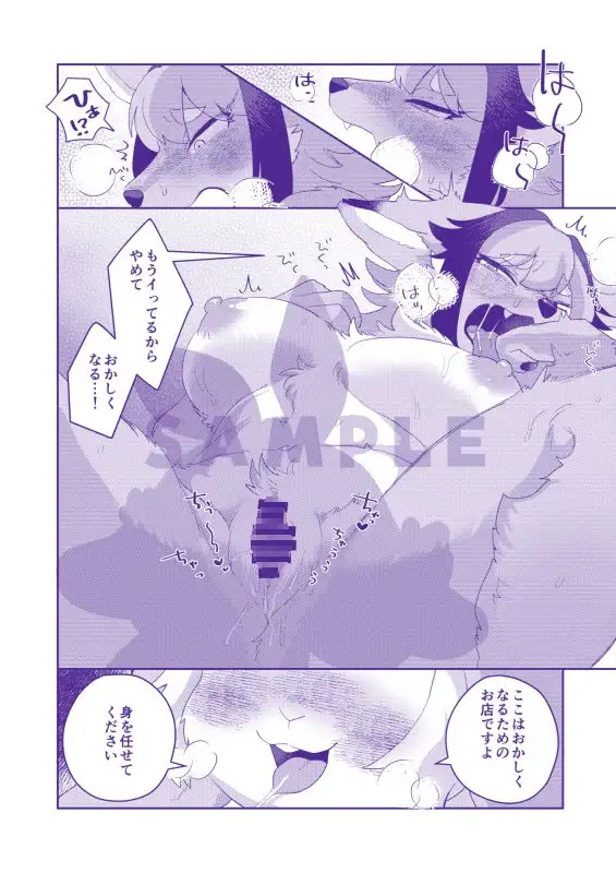 sub-image_3
