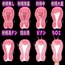 膣内射精の素材(射精量設定可能) 断面図