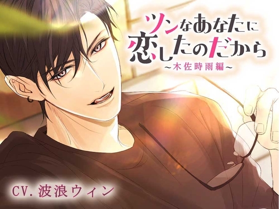 ツンなあなたに恋したのだから~木佐時雨編~