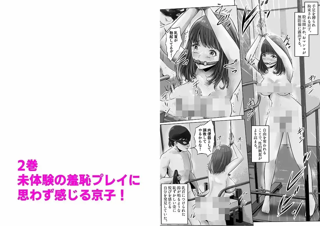 sub-image_3