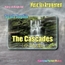 ラグタイム王 Scott Joplin 「The Cascades(小さな滝)」 Music Box ver.