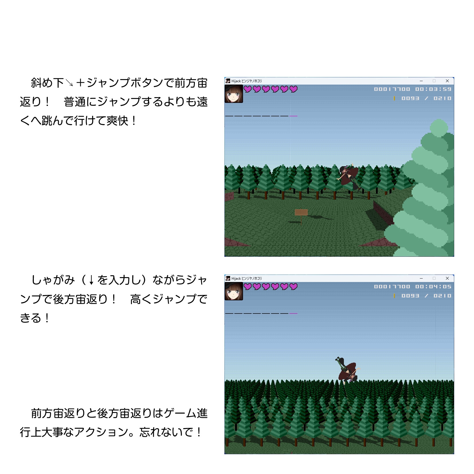 Hijack ヒンジヤノホコリ 画像7