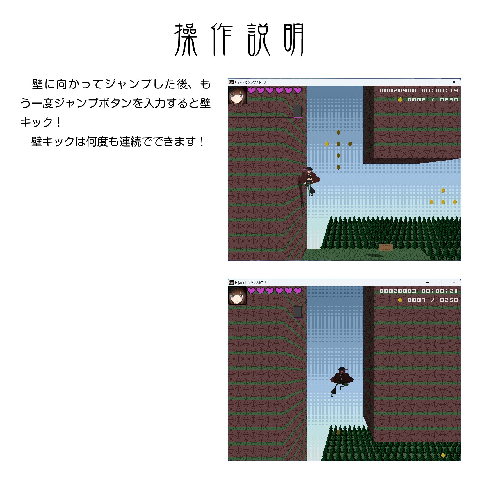 Hijack ヒンジヤノホコリ 画像8