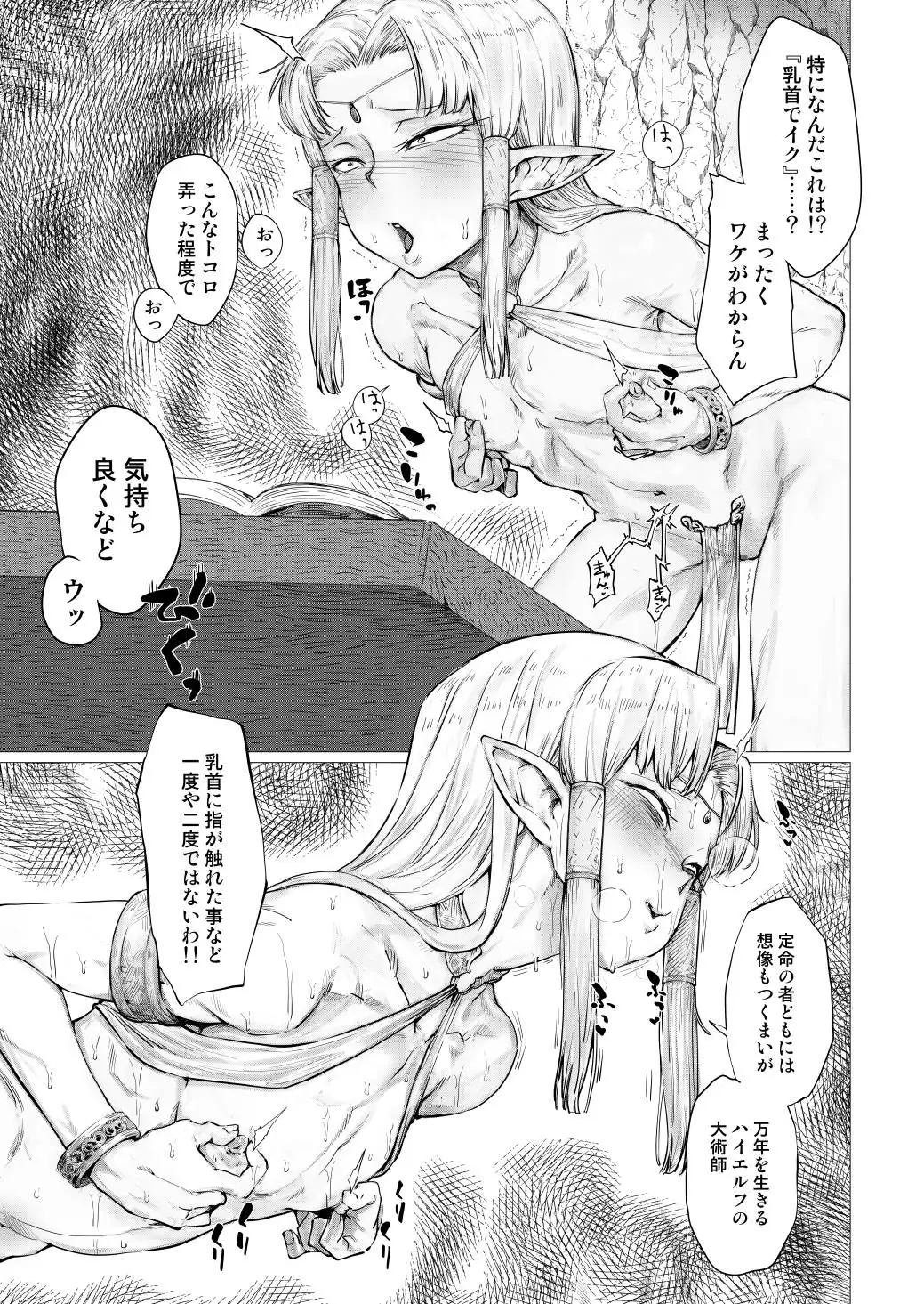 【繁体中文版】シコルフ