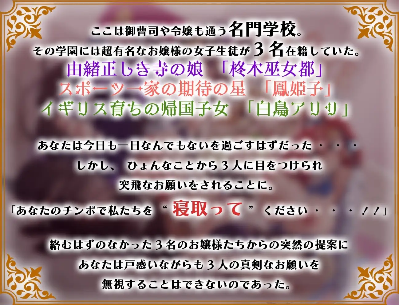 学園のご令嬢3人娘は婚約者と別れるために貴方の子どもを孕みたい【お願いNTR】 サンプル画像 4