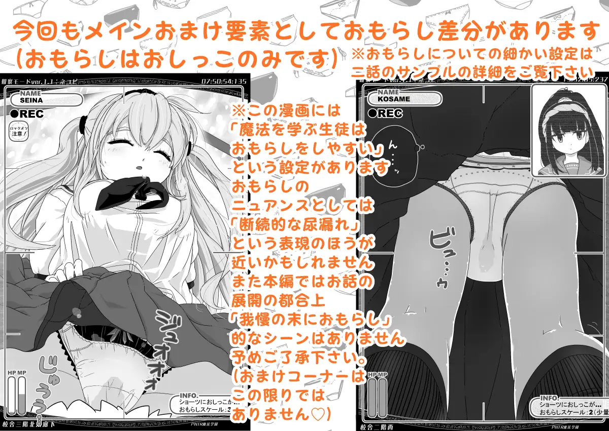 sub-image_4