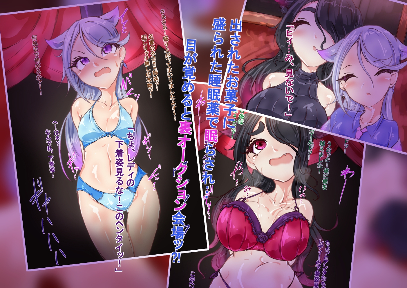 猫耳お嬢さま。性奴○になる。前編らい快楽RJ01148029