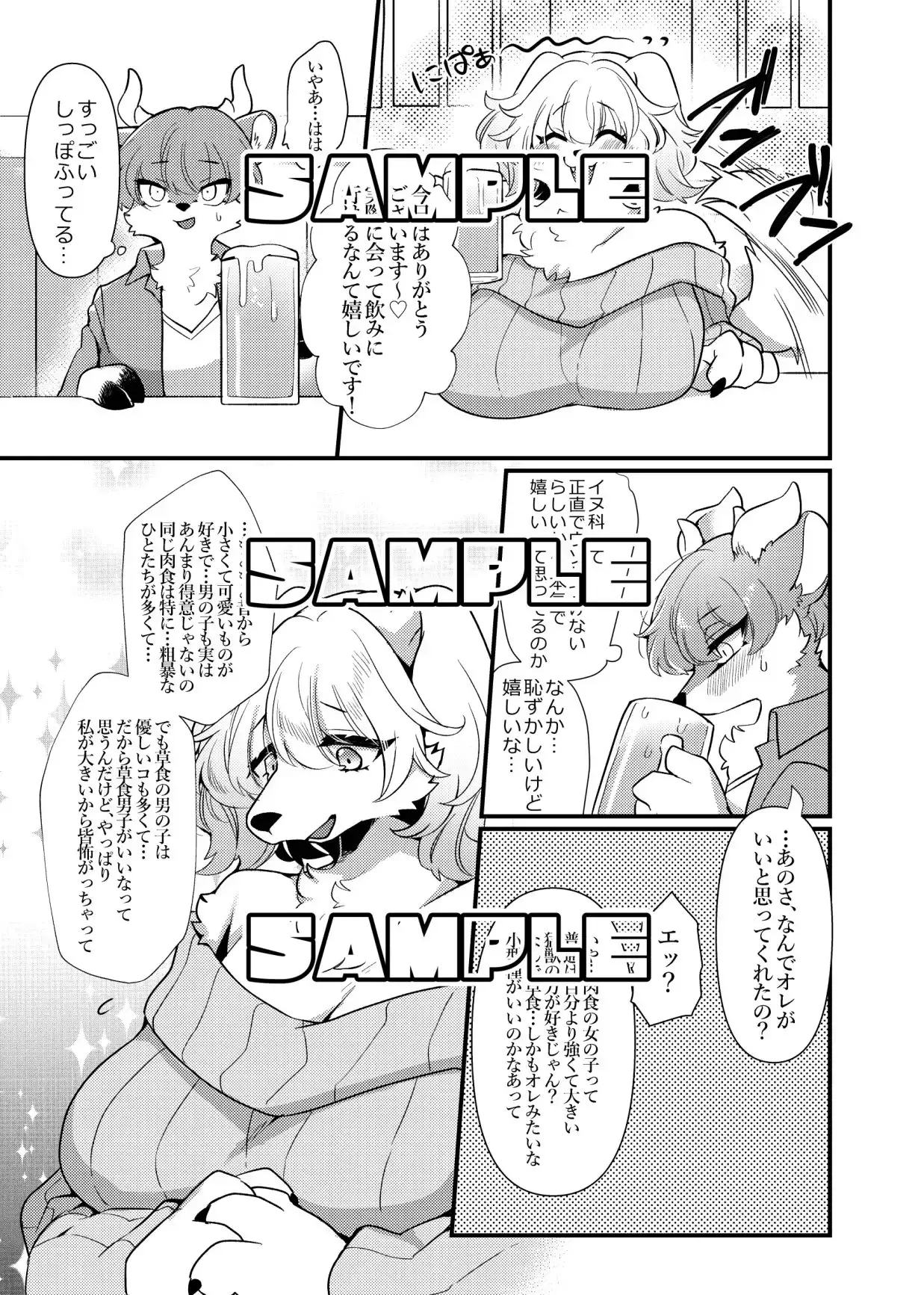 sub-image_3