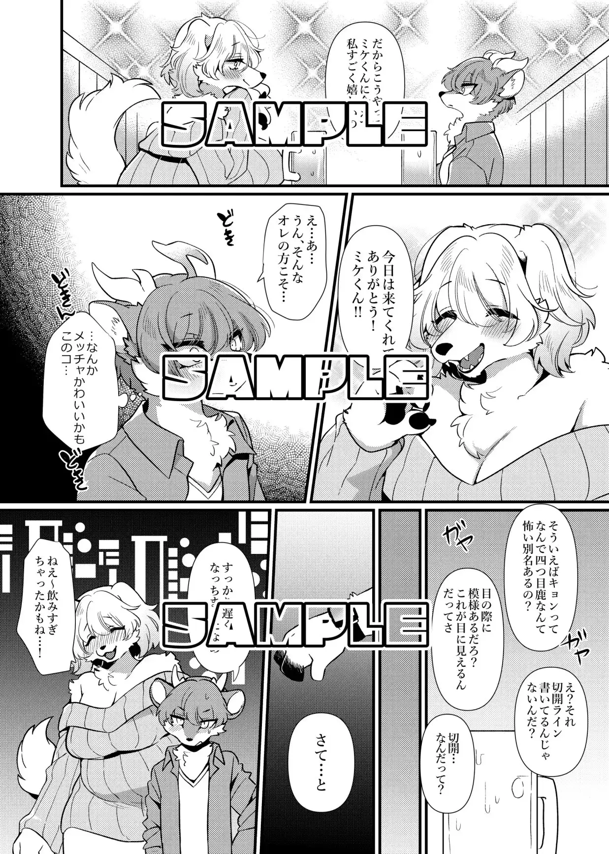 sub-image_4
