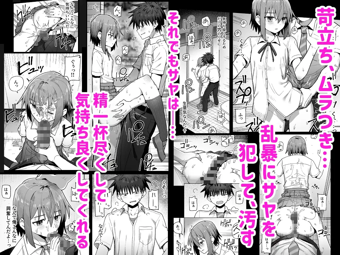 sub-image_3