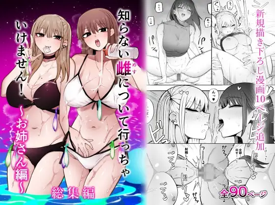 知らない雌について行っちゃいけません!～お姉さん編～総集編