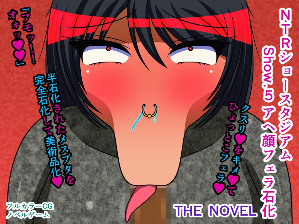 NTRショースタジアム THE NOVEL 総集編1 サンプル画像9