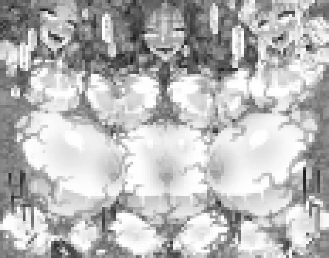 sub-image_3