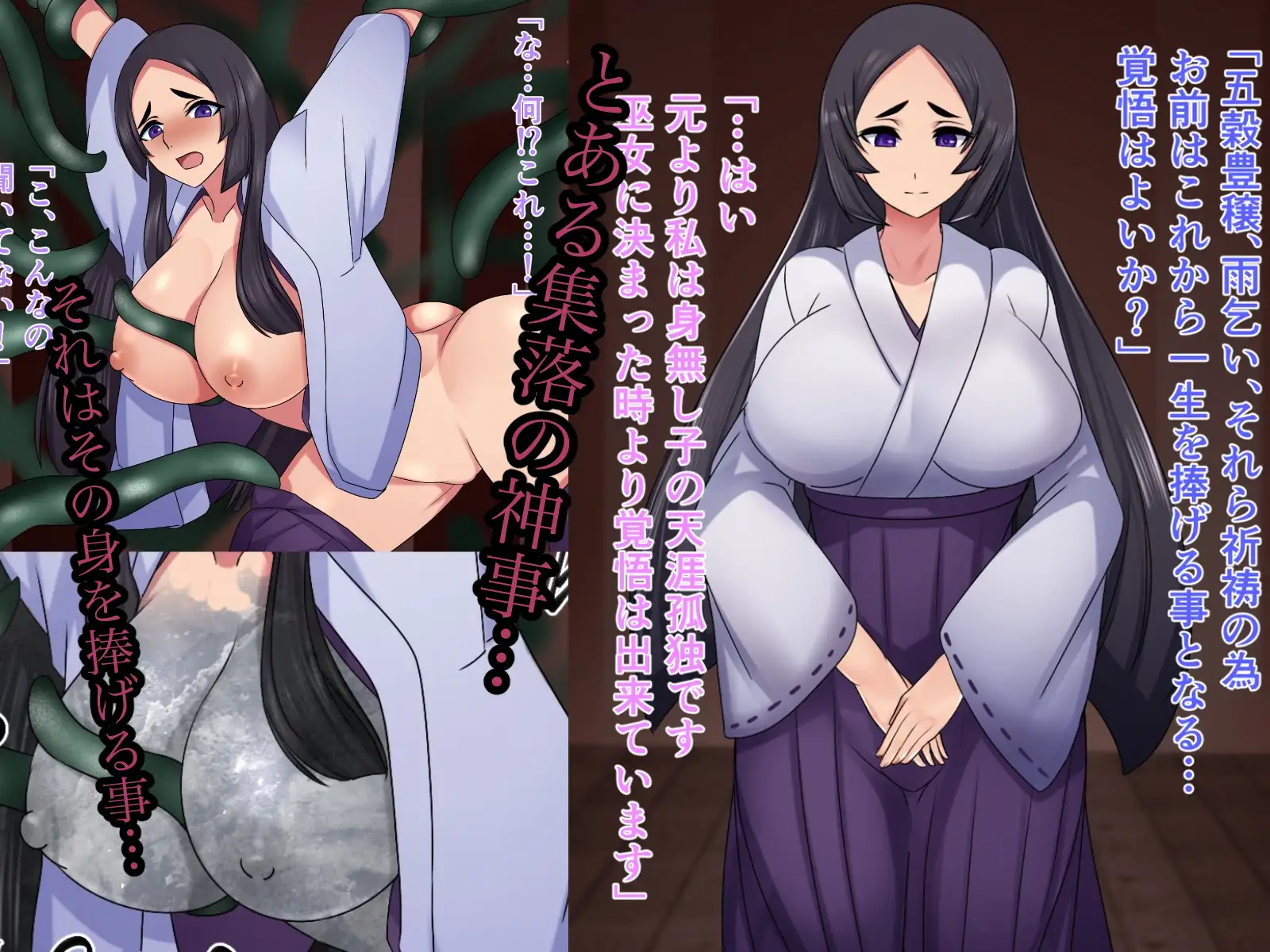 石化オムニバス〜固められちゃう女の子達〜令嬢•女勇者•巫女三篇 ハスラーズN エロ画像9