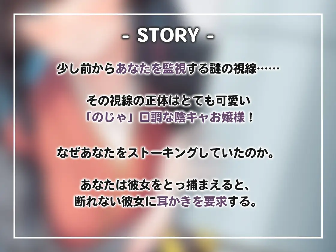 sub-image_1