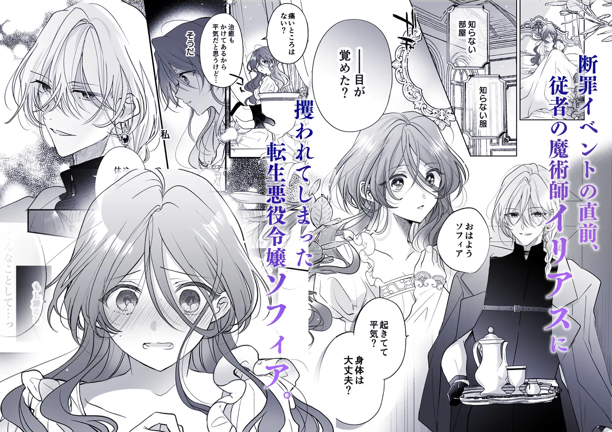 魔術師の偏愛2-TrueRoute-上