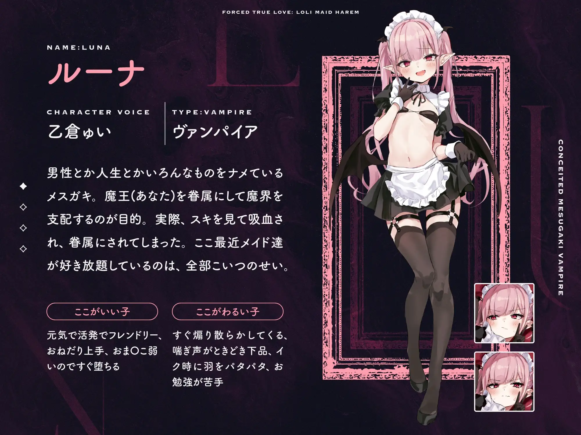 sub-image_4