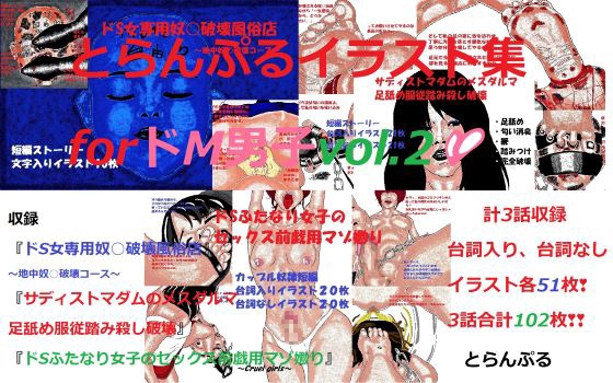 (RJ01199408)とらんぷるイラスト集forドM男子vol.2