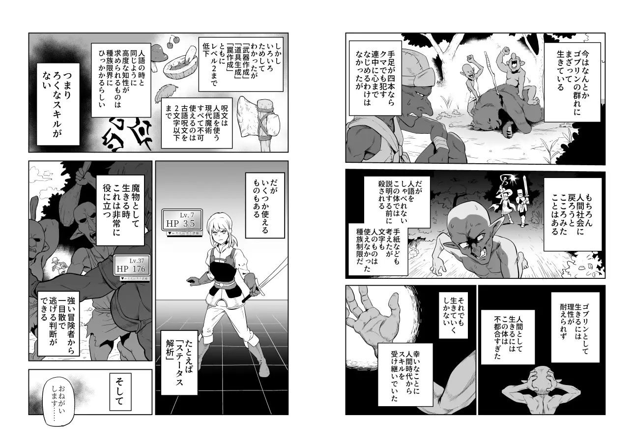 ザコ姦狙いのドM女騎士が本当にゴブリン奴○にされる話 前編 山場岳 エロ漫画3