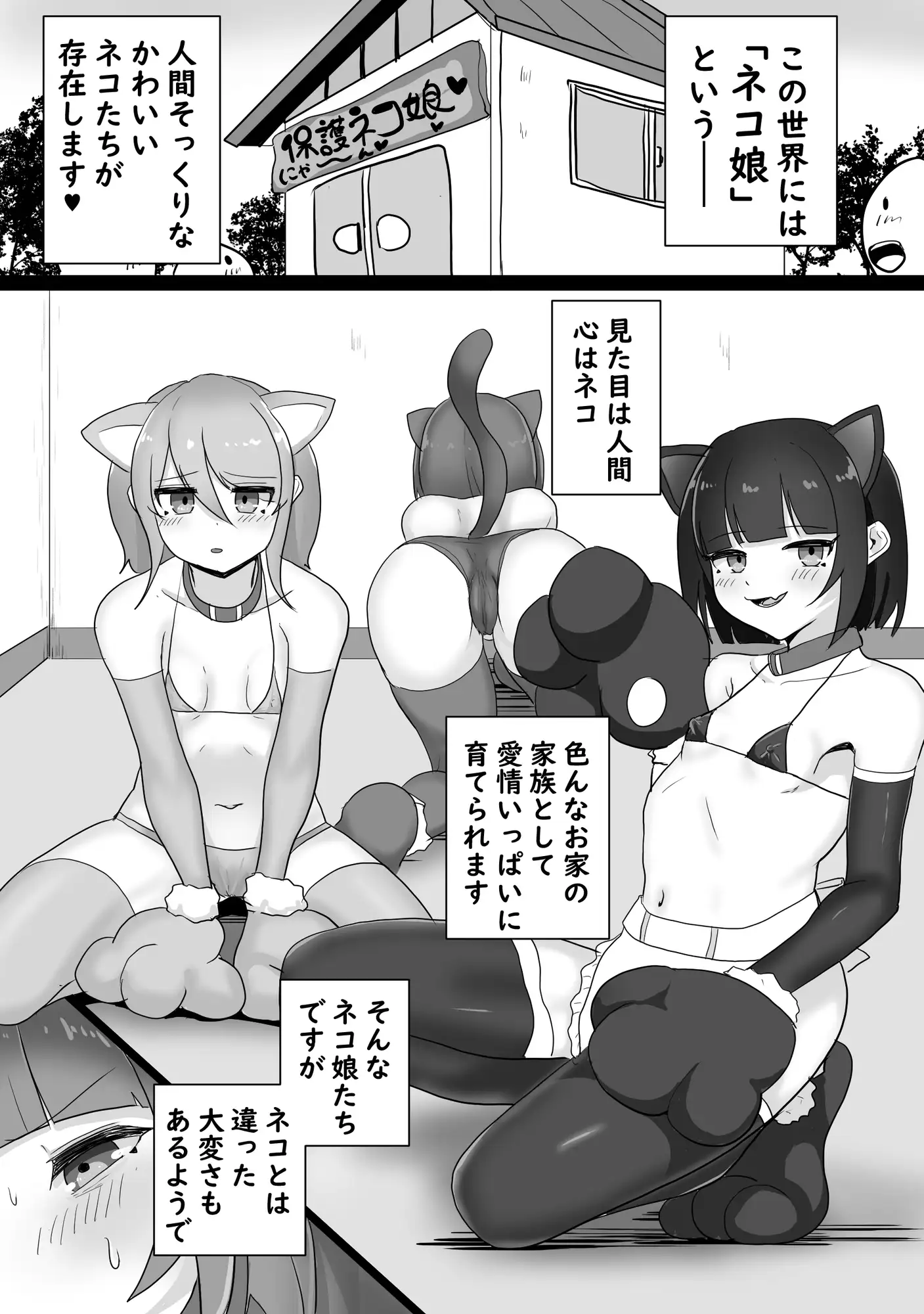 sub-image_0