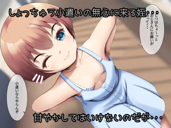 姪の頼みを断れない NamelessZero エロ画像2