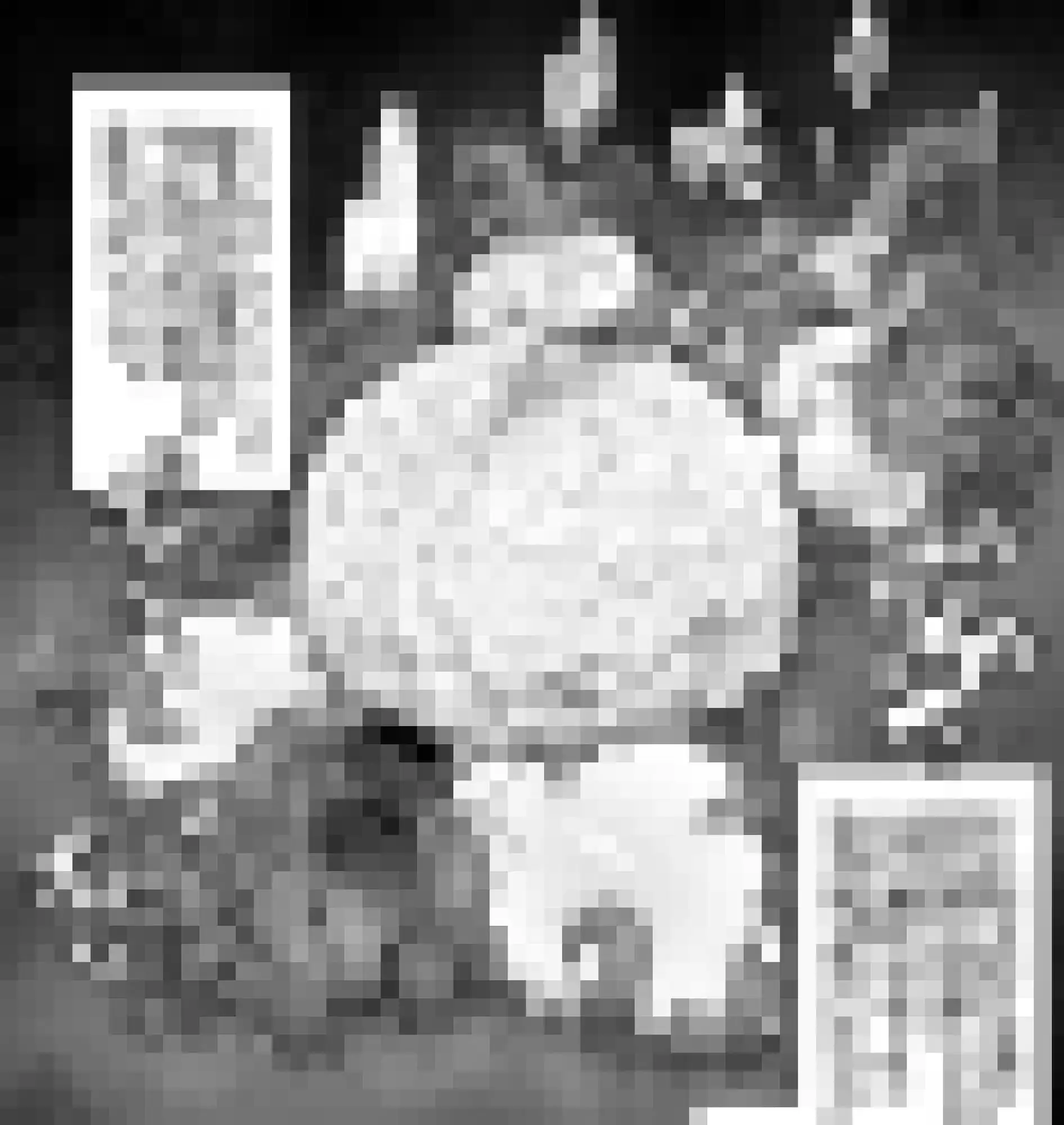 sub-image_6