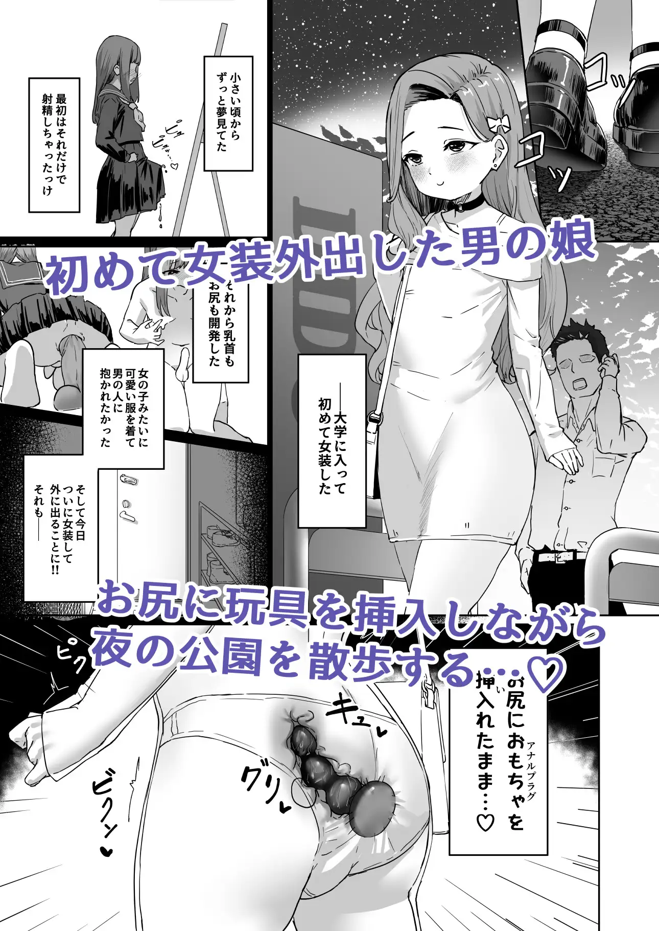 お散歩アナルプラグ 