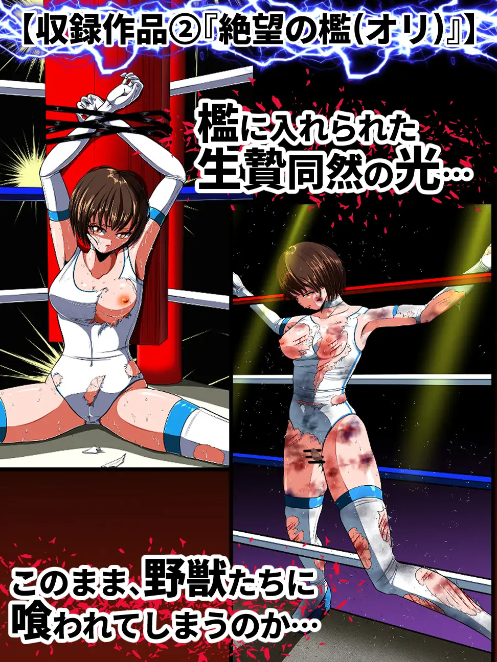 姫野光の受難 shadeの裏姫 エロ漫画9