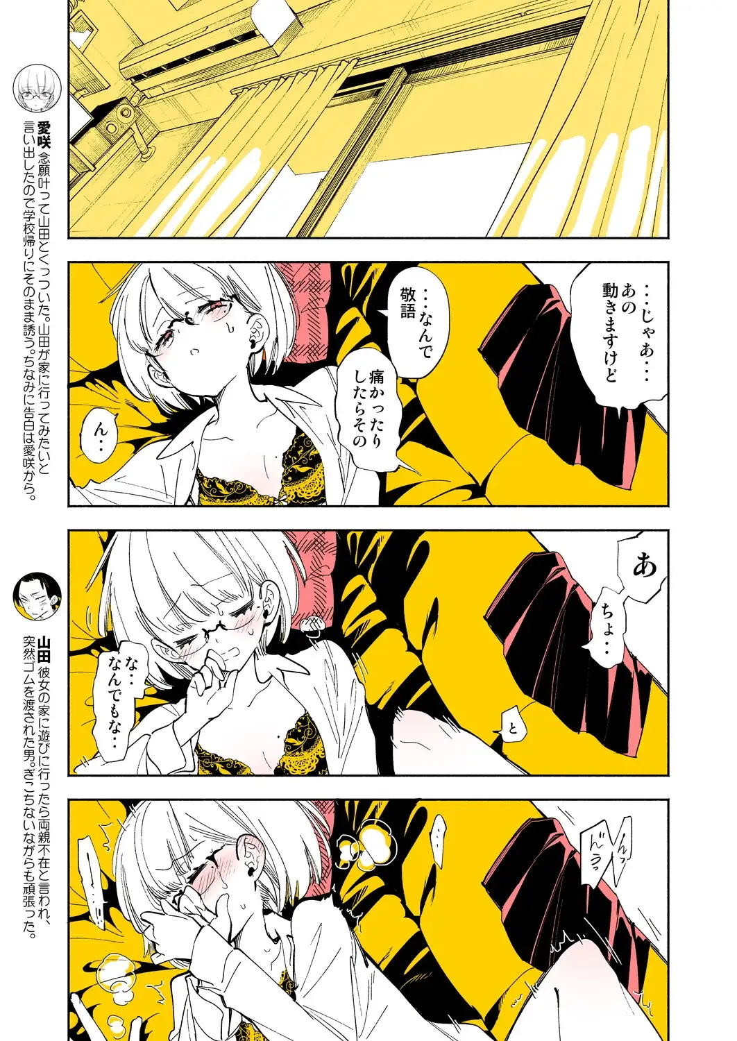 sub-image_3