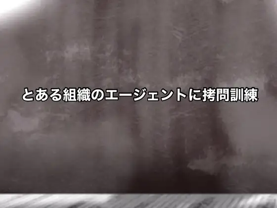 とある組織のエージェントに○問訓練
